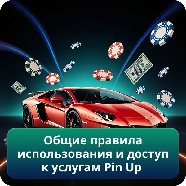 Общие правила использования и доступ к услугам Pin Up